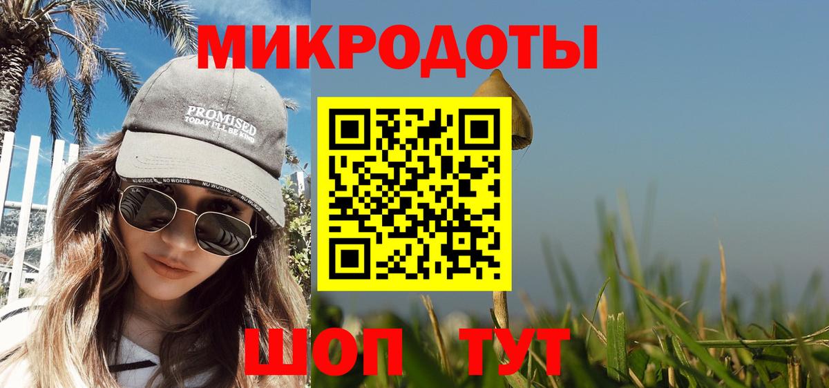 Псилоцибиновые грибы Cubensis Кандалакша